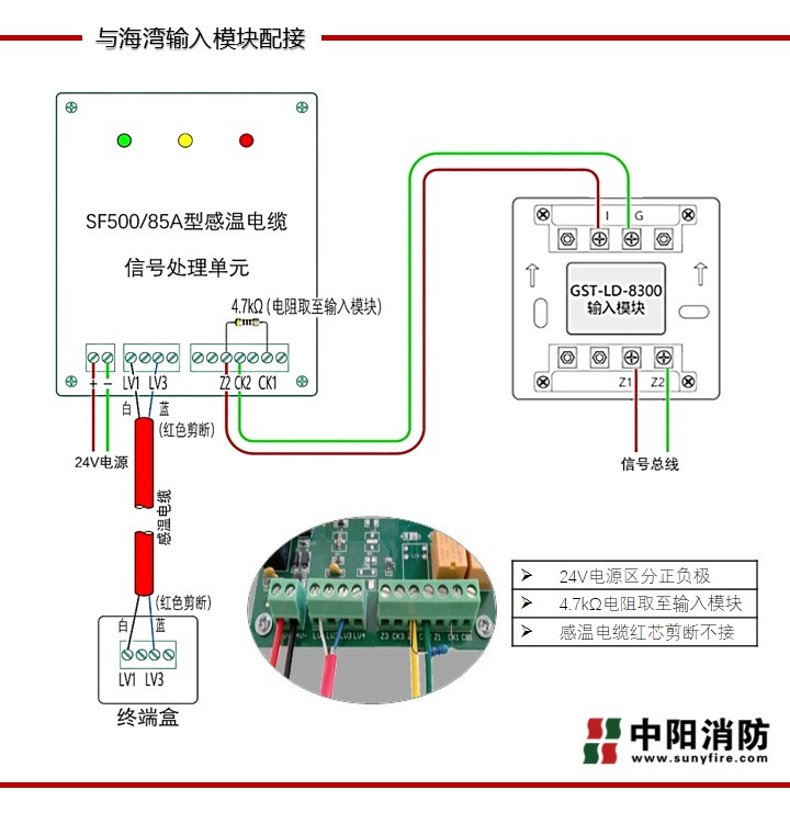 2024畫冊(cè)